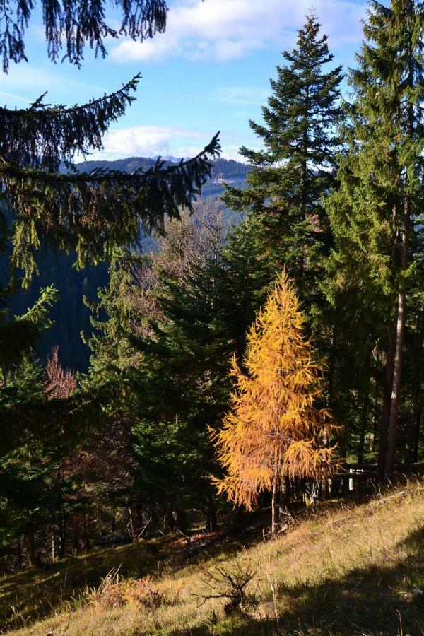 Pension Edelweiss Top21 Gosau Eksteriør billede